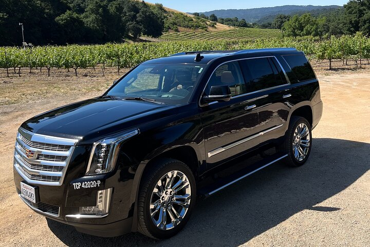 Luxury Wine Tour in Paso Robles, with a Winemaker - Photo 1 of 19